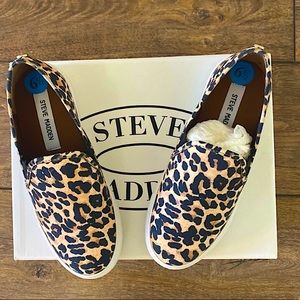 Steve Madden Sneakers